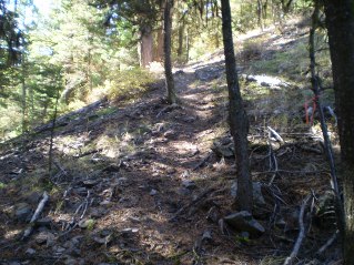 Took the path on the right climbing towards a high point, Yellow Lake Trail 2014-09.